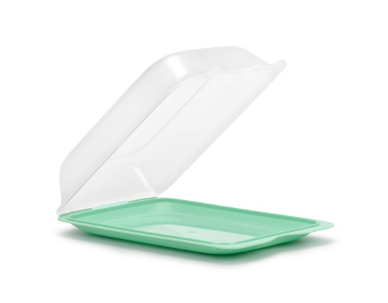 Pojemnik Fresh MAXI Miętowy