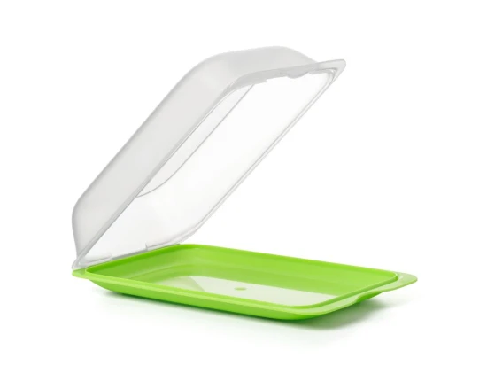 Pojemnik na wędlinę Fresh Maxi Zielony TATAY